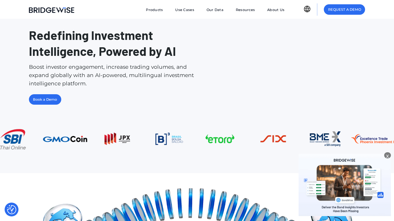 BridgeWise screenshot