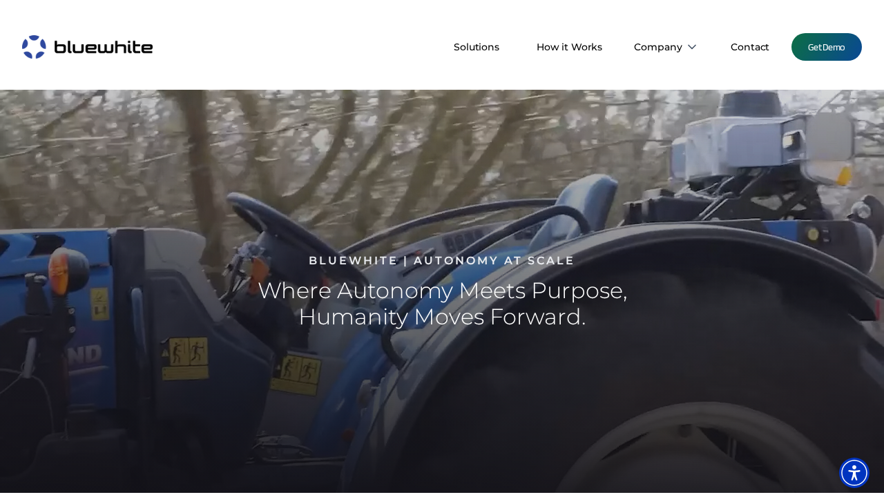 Bluewhite screenshot