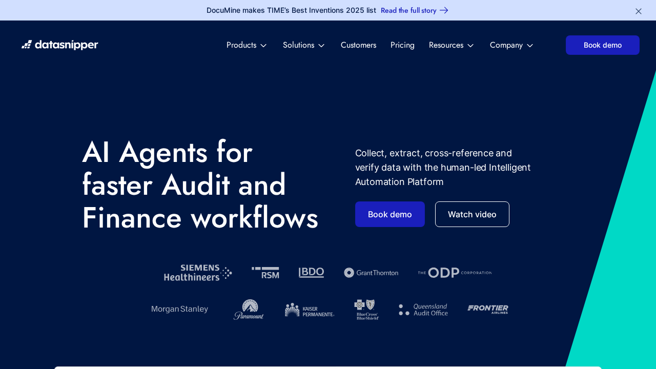 DataSnipper screenshot