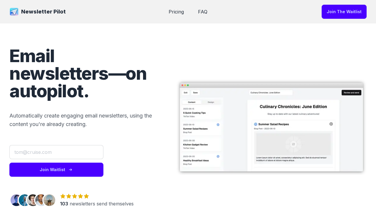 Newsletter Pilot screenshot