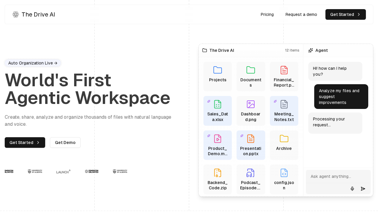 The Drive AI screenshot