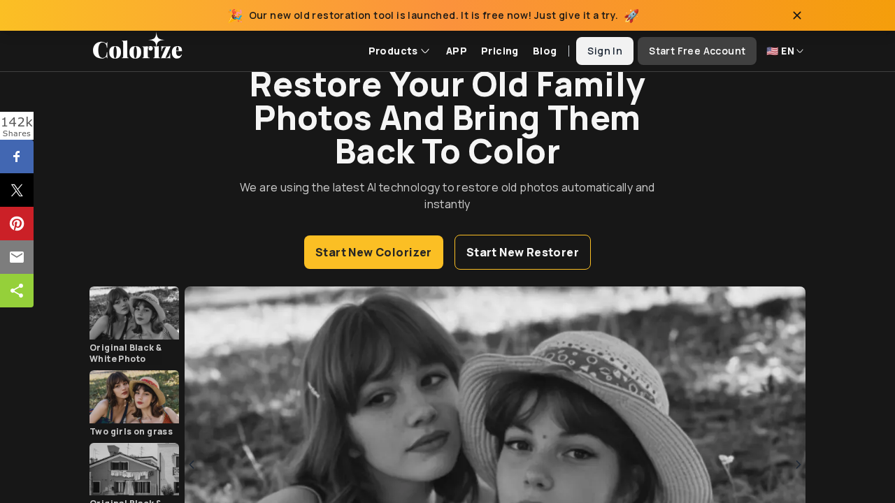 ImageColorizer screenshot