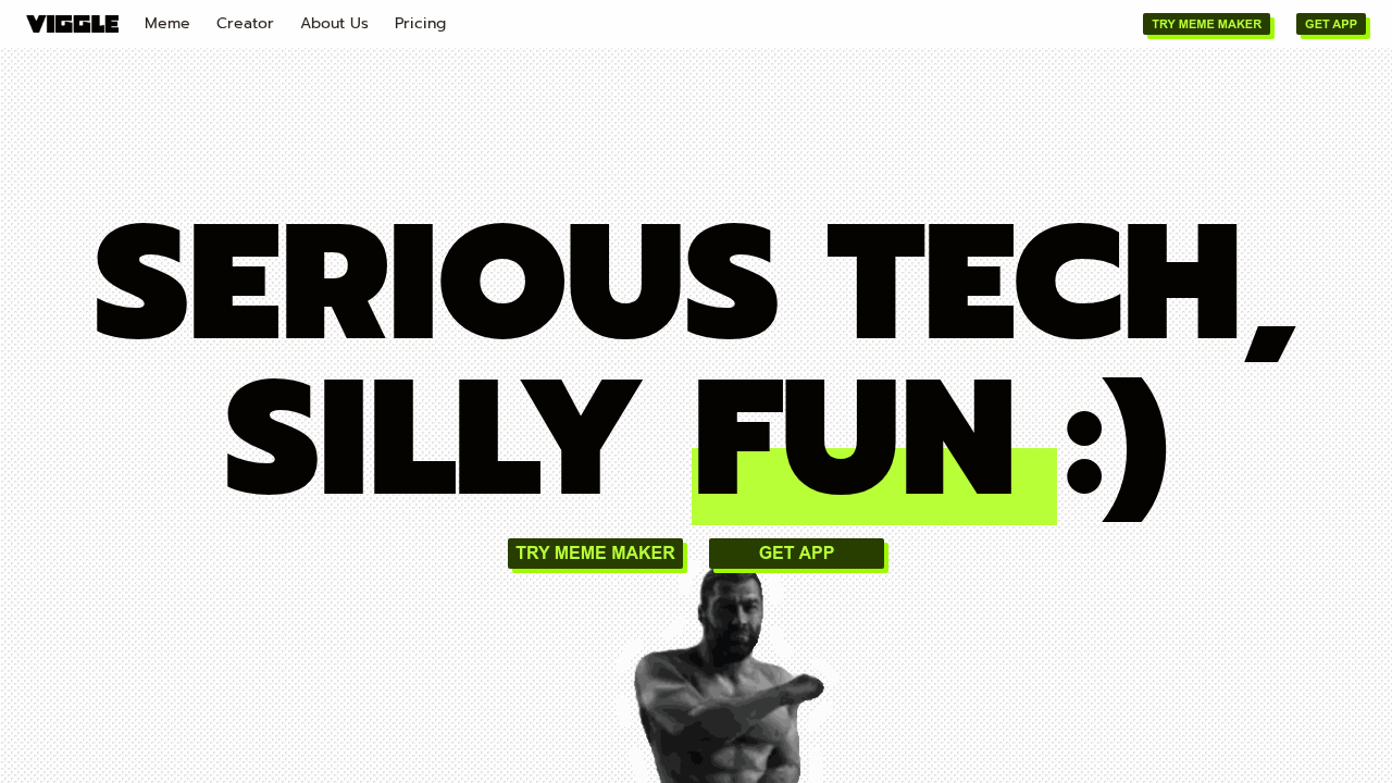 viggle.ai screenshot