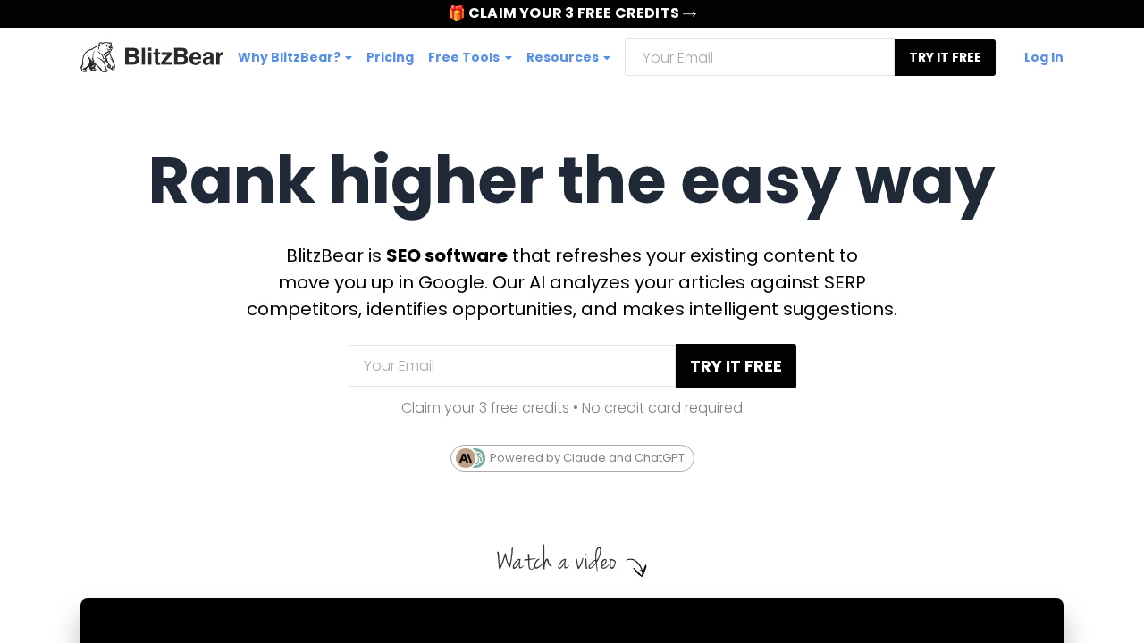 BlitzBear screenshot