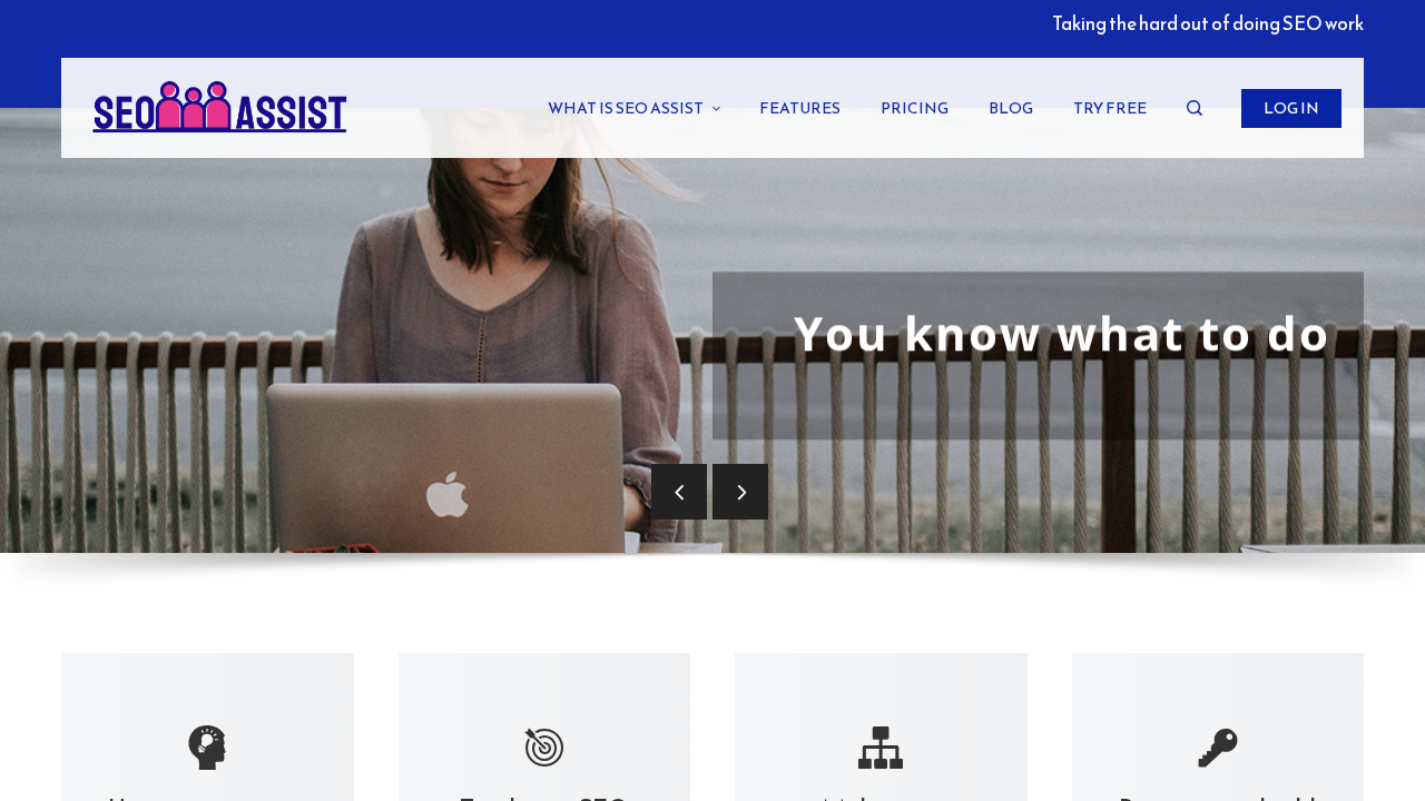 SEO Assist screenshot