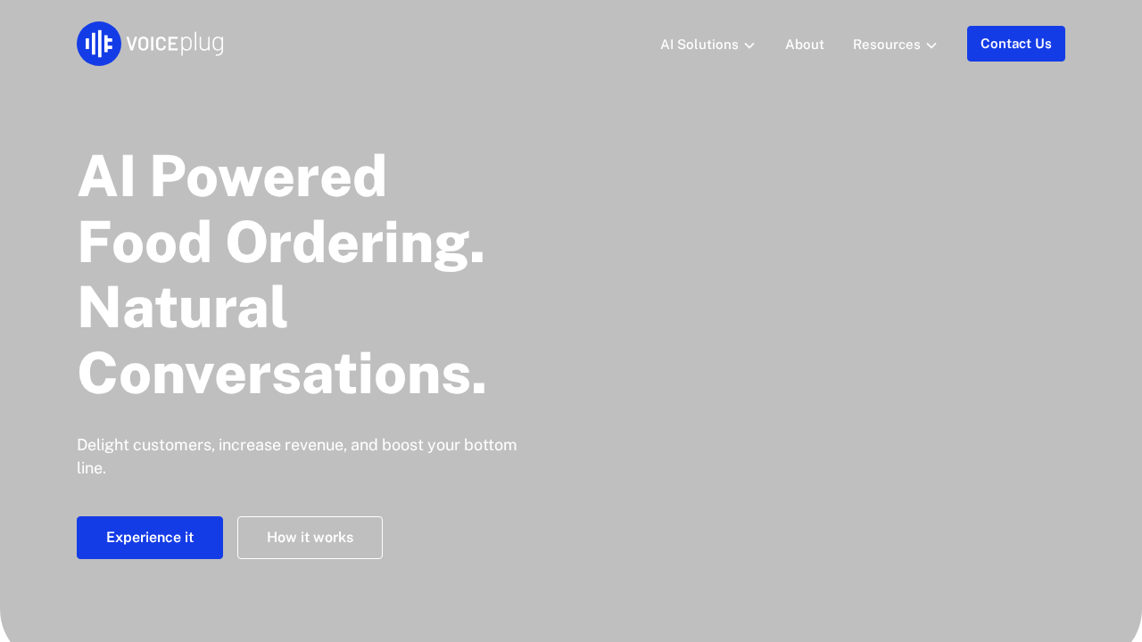 VOICEPLUG screenshot