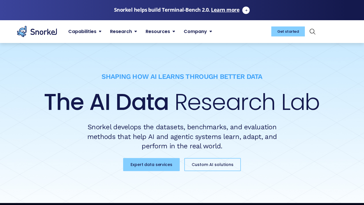 Snorkel AI screenshot