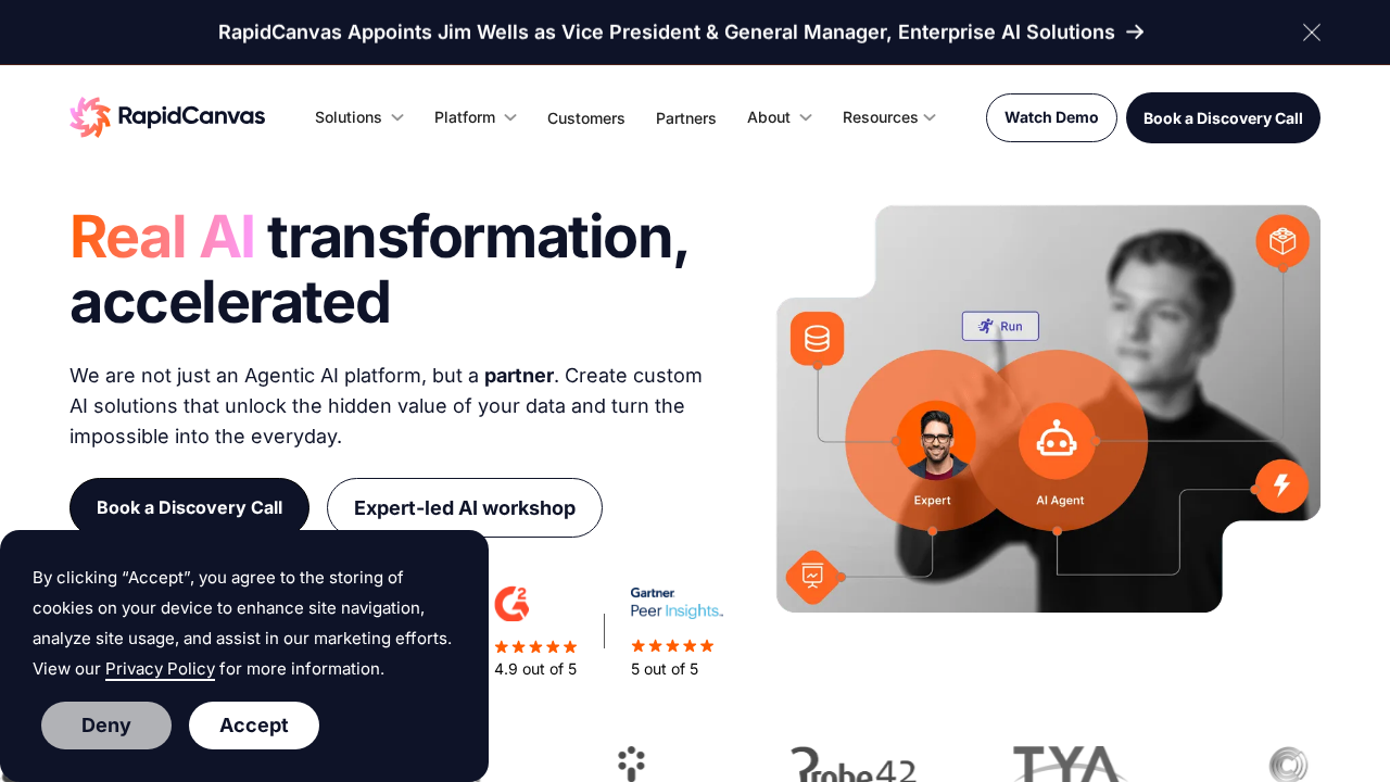 RapidCanvas screenshot