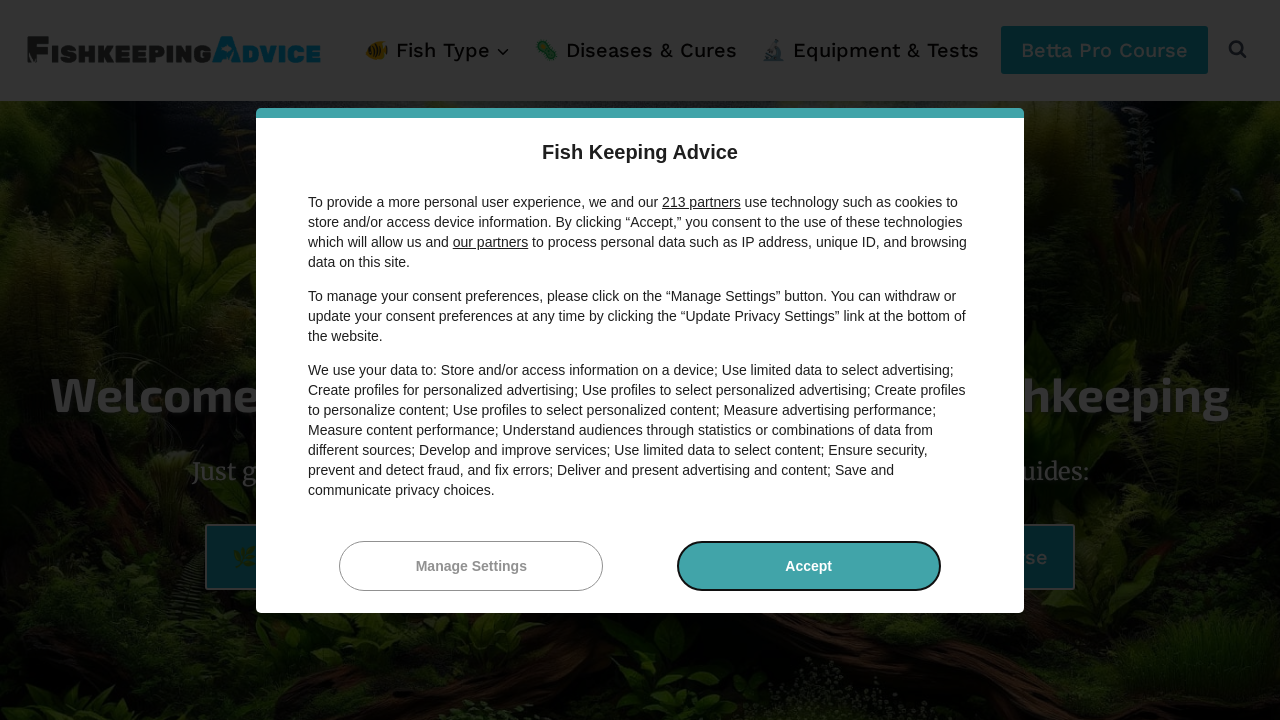 fishkeepingadvice.com screenshot