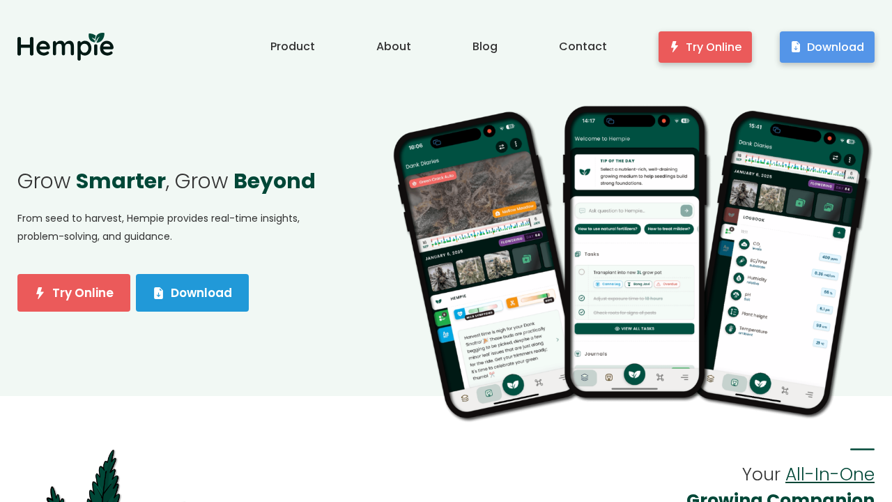 Hempie.ai screenshot