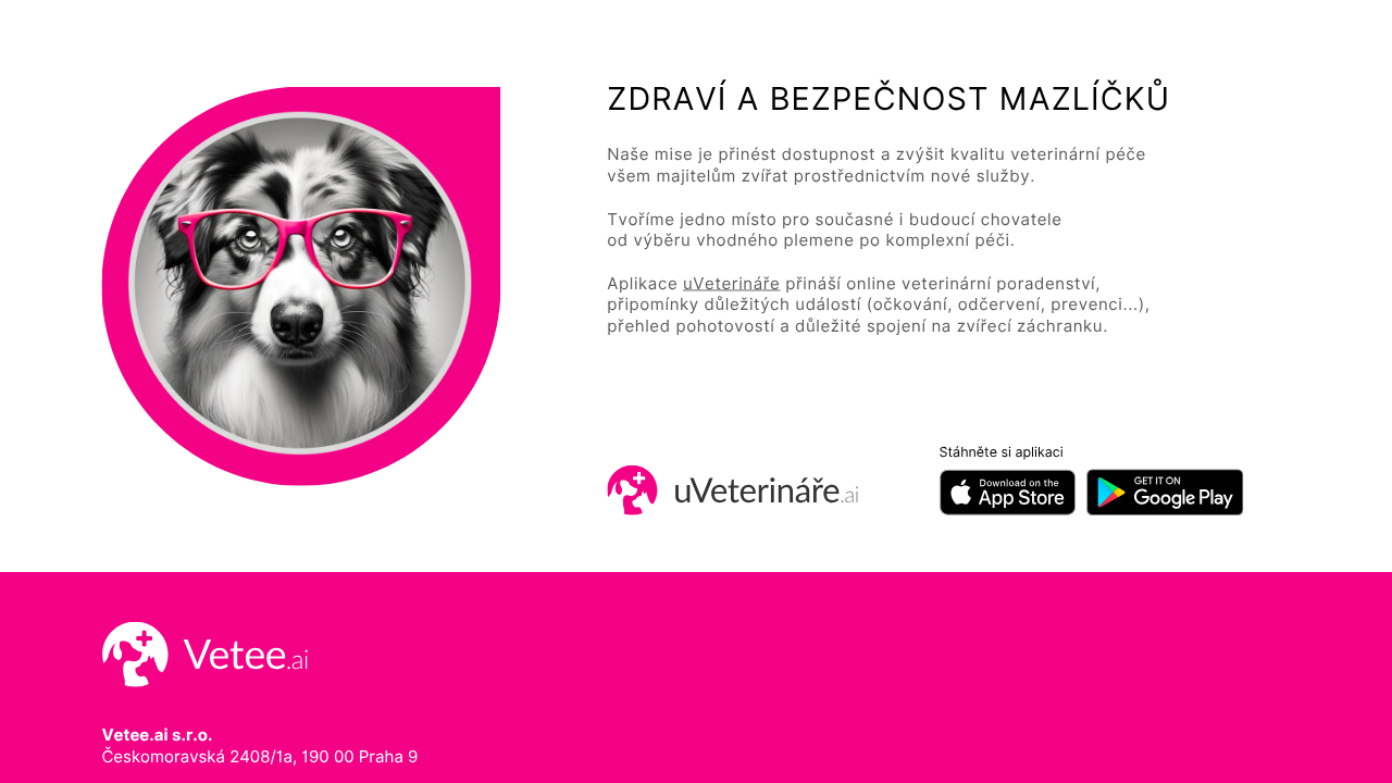 vetee.ai screenshot