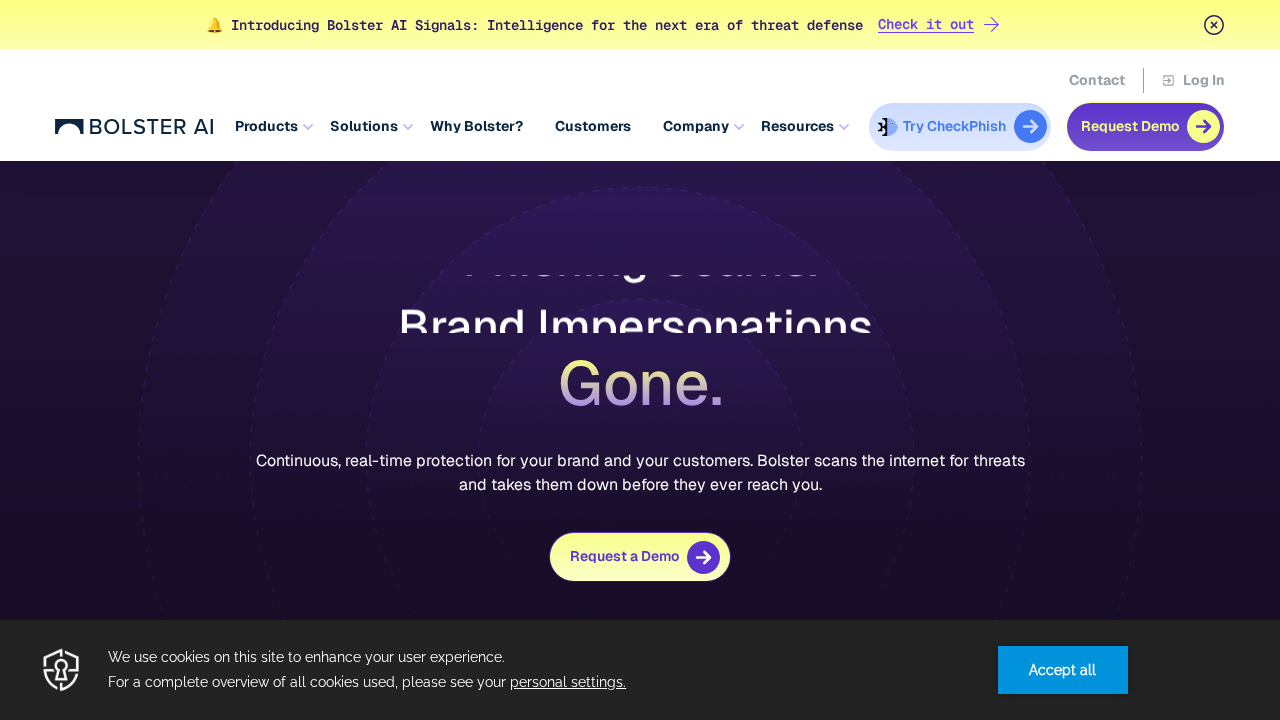 Bolster.ai screenshot