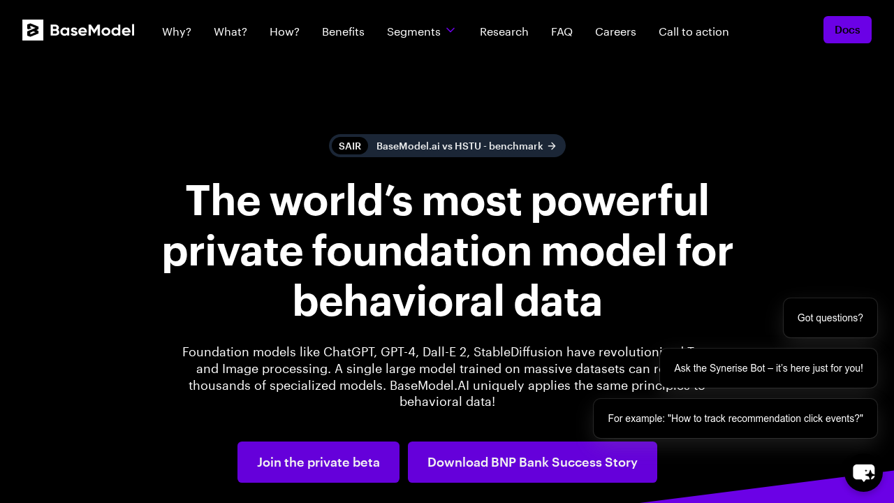 basemodel.ai screenshot