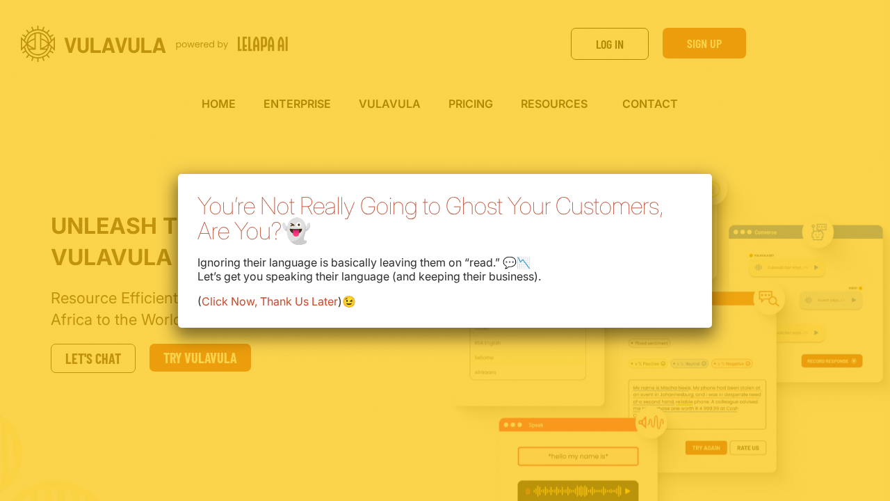 Lelapa.ai screenshot