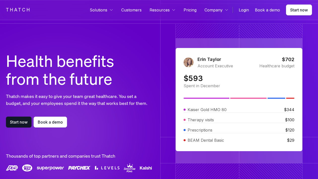 Thatch.ai screenshot