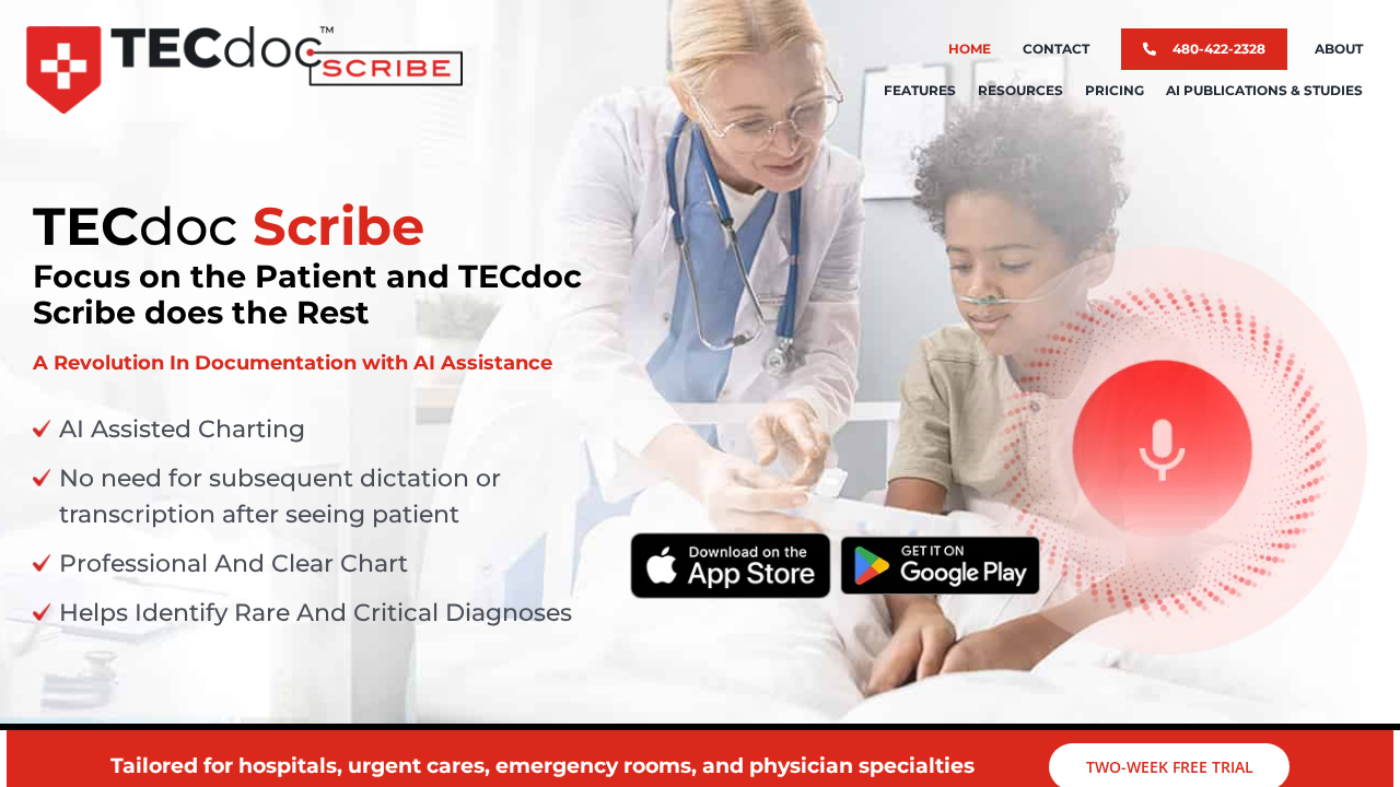 TECdoc Scribe screenshot