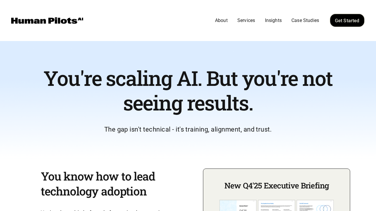 Human Pilots AI screenshot
