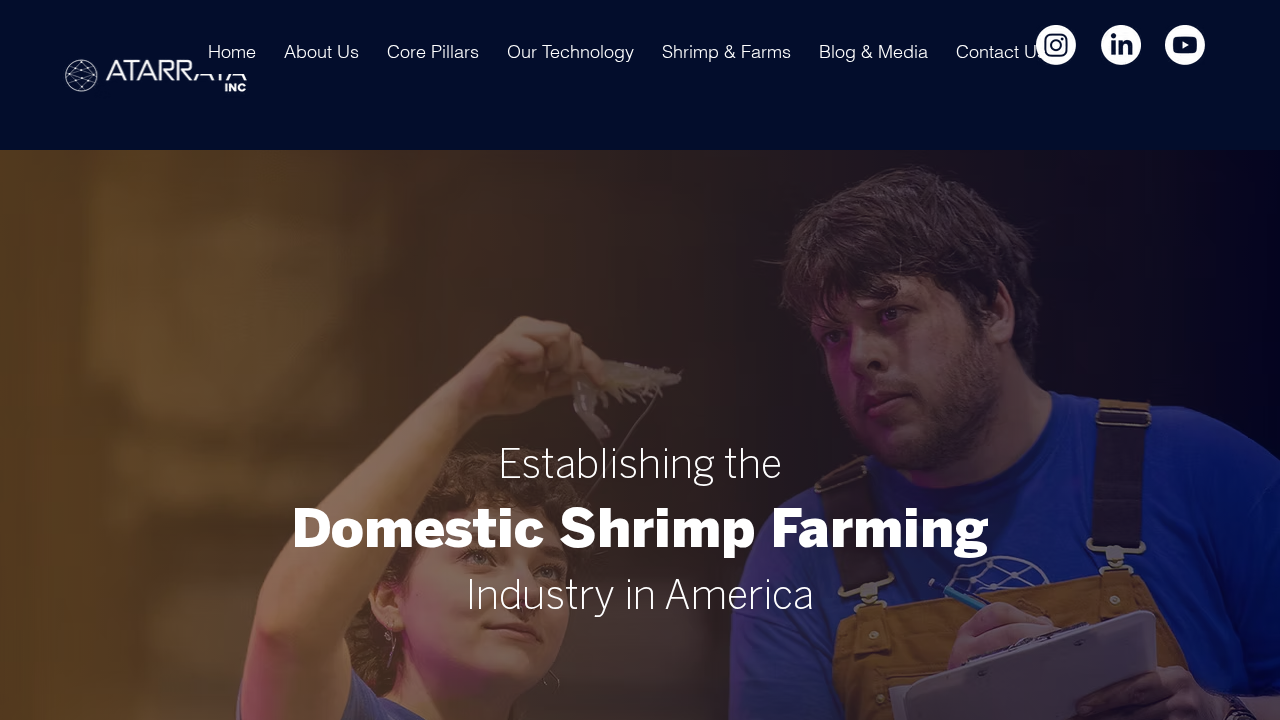 atarraya.ai screenshot