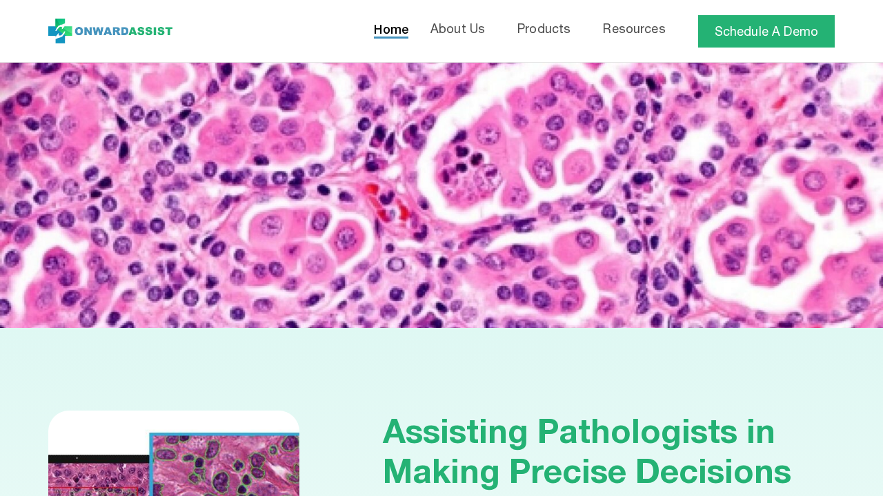 Onward Assist screenshot