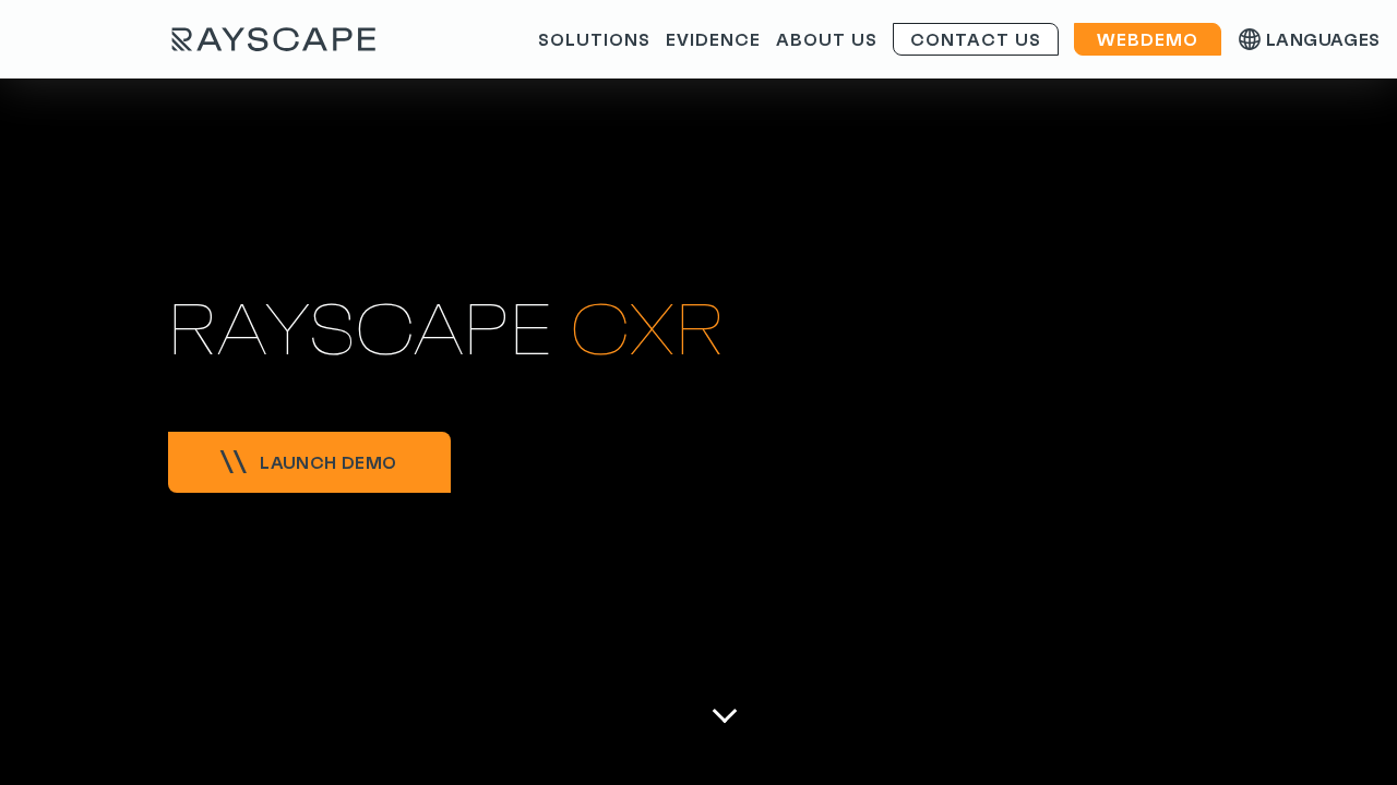 Rayscape.ai screenshot
