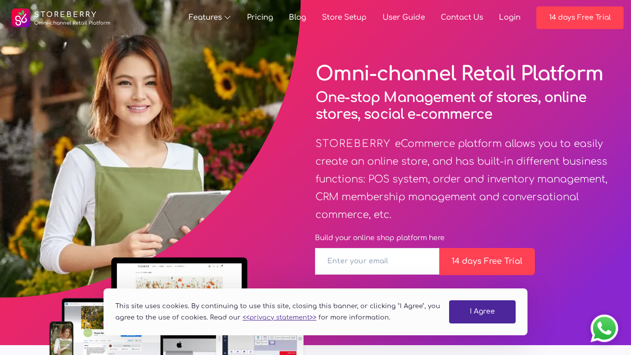 Storeberry.ai screenshot