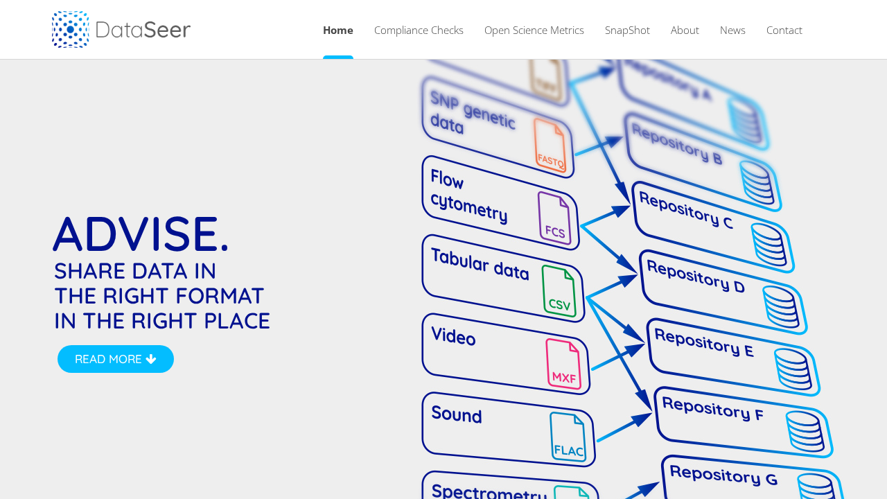 DataSeer.ai screenshot
