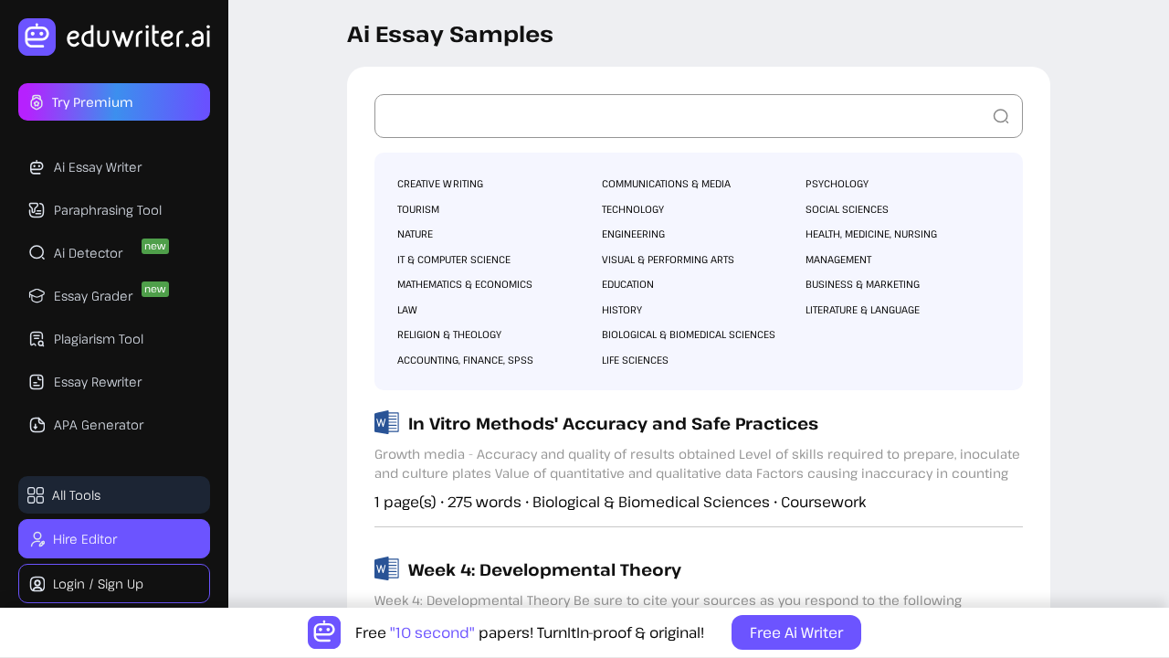 myessaytyper.ai screenshot