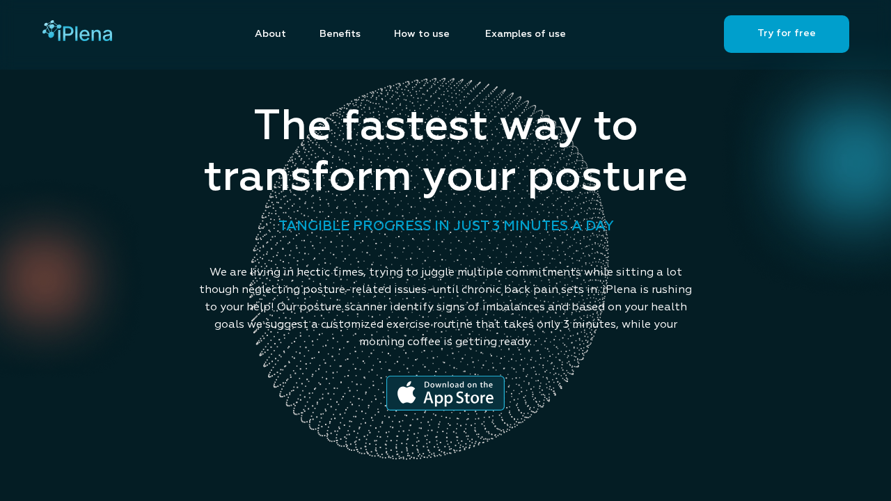 iPlena.ai screenshot