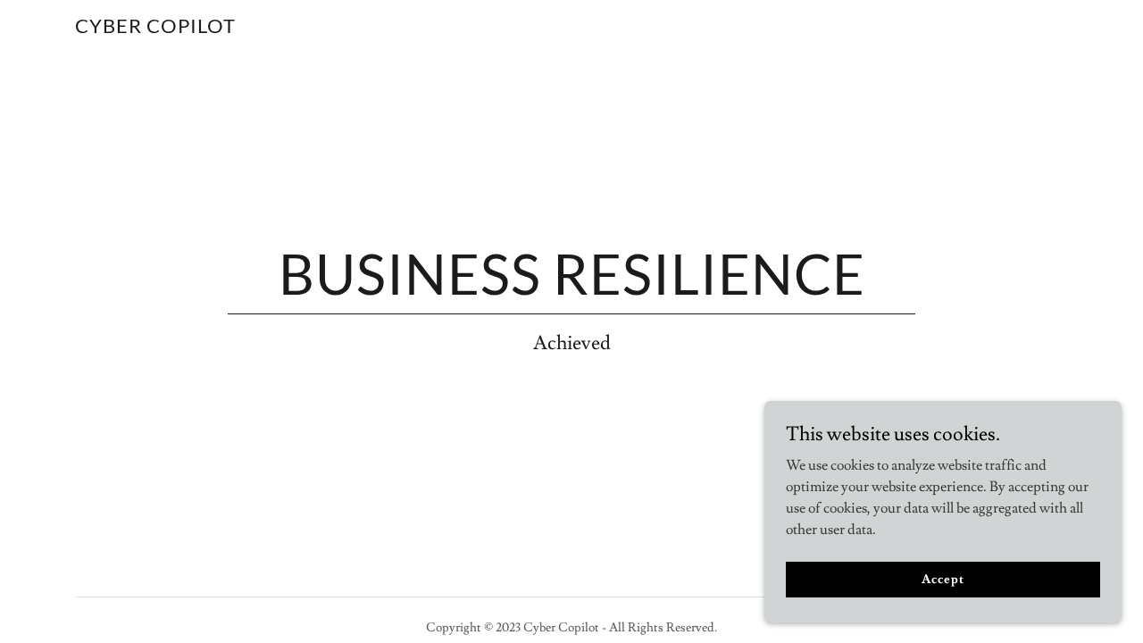 Cyber Copilot screenshot