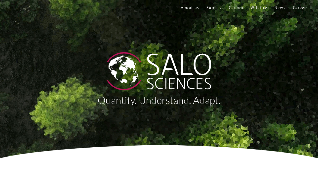salo.ai screenshot
