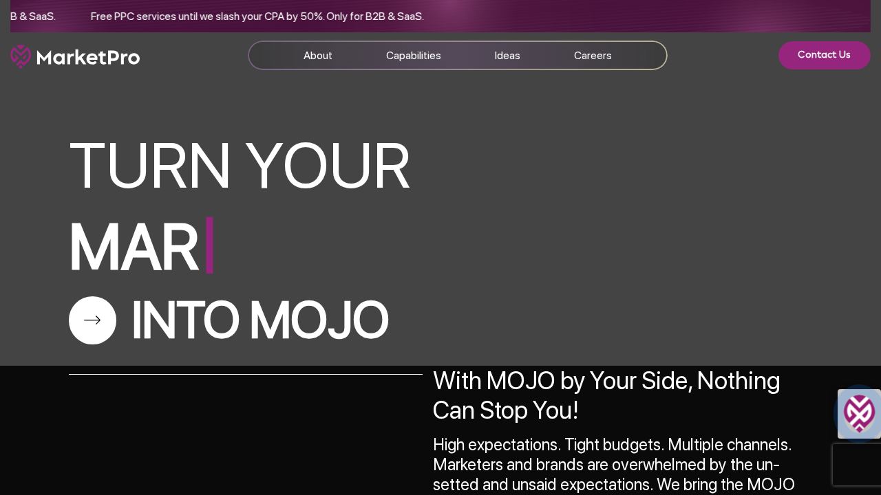 Marketpro.ai screenshot