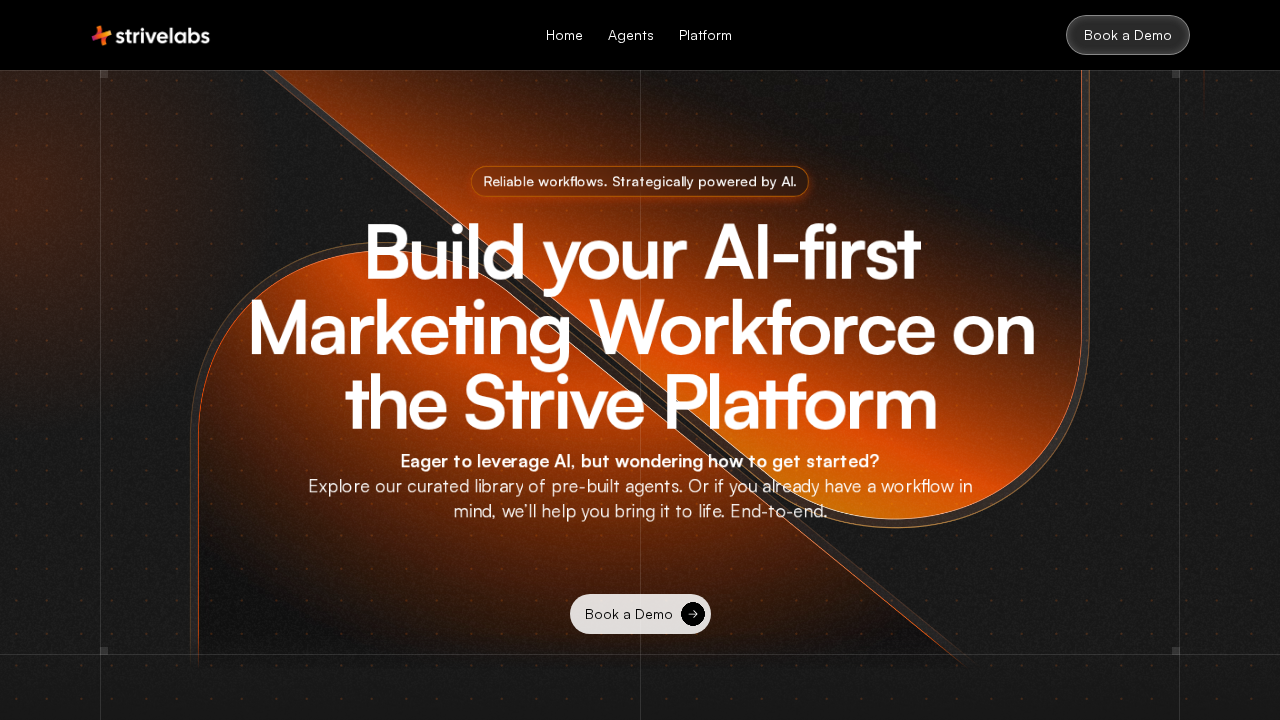 StriveLabs.ai screenshot