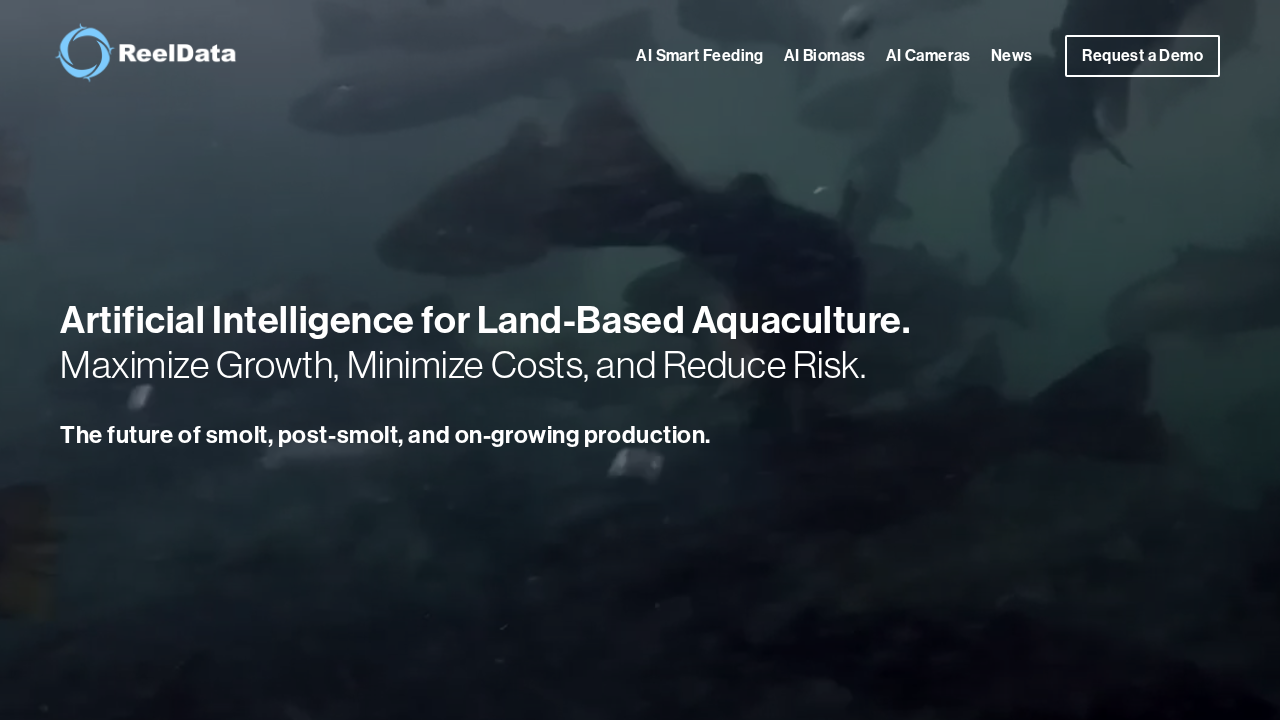 ReelData AI screenshot