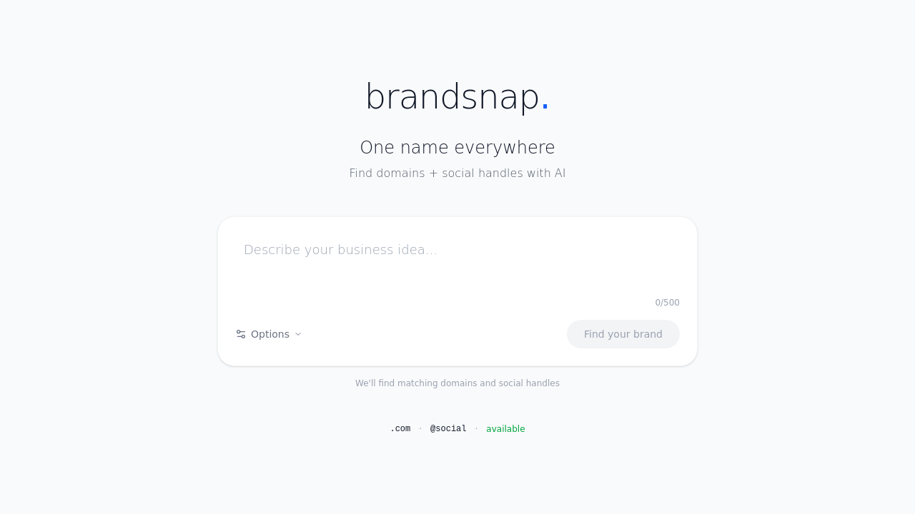 brandsnap.ai screenshot