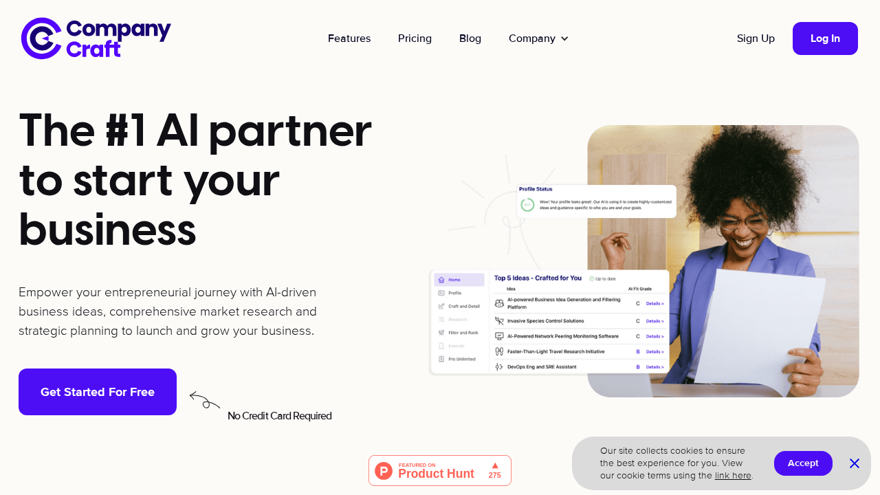CompanyCraft.ai screenshot