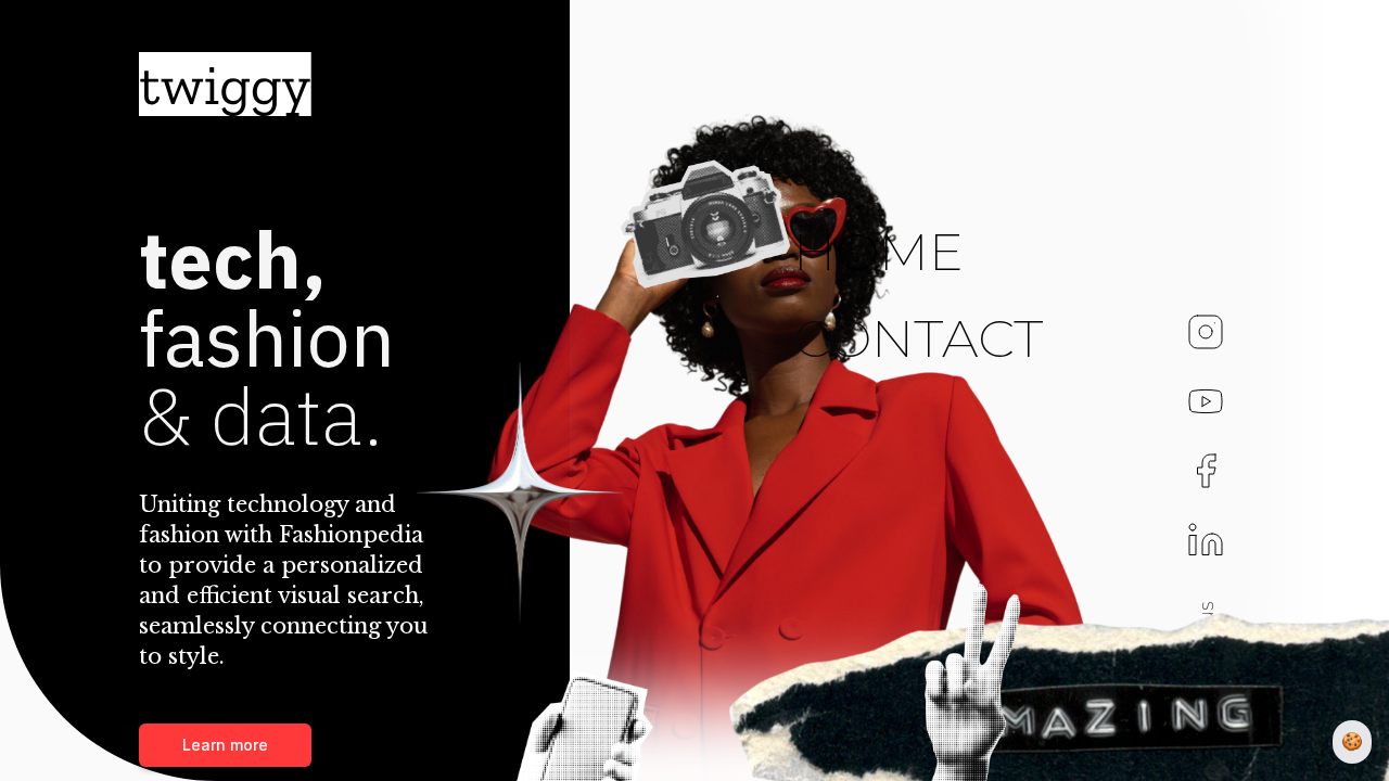 Twiggy.ai screenshot