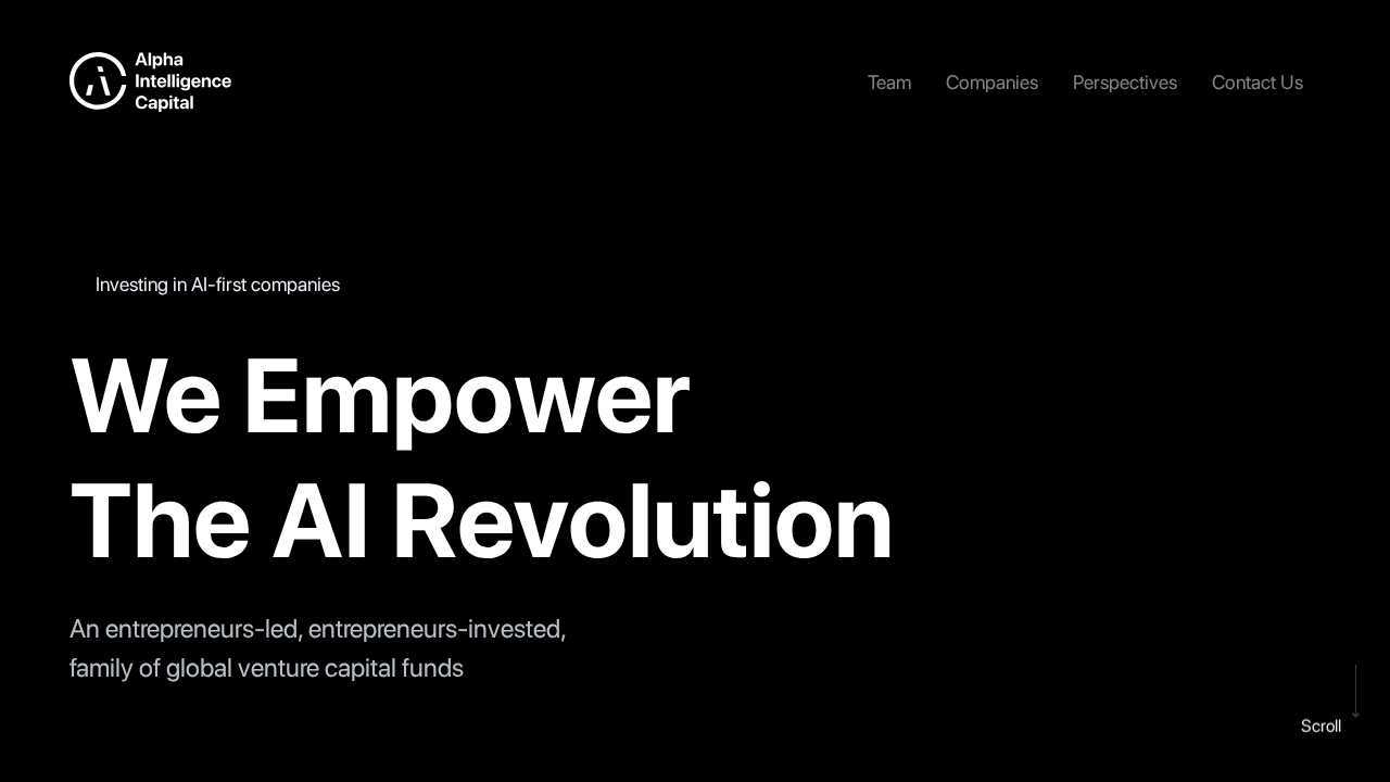 AICapital.ai screenshot
