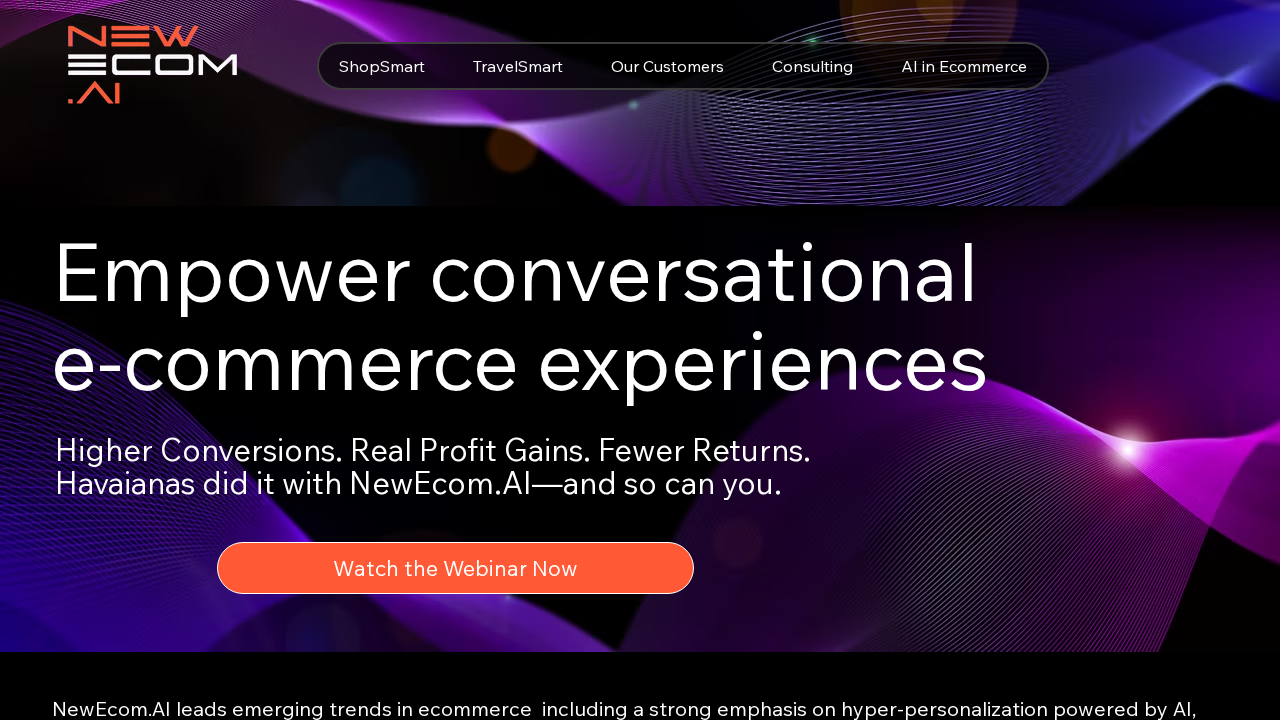 NewEcom.ai screenshot