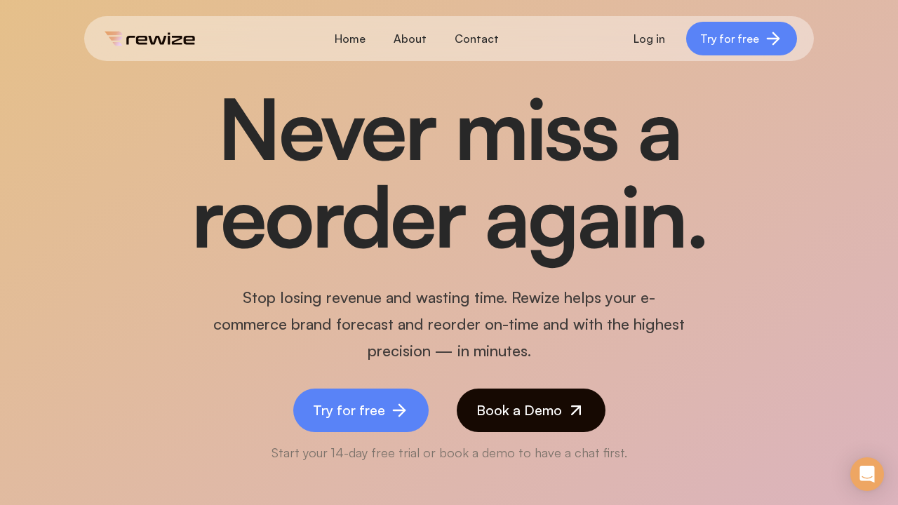 Rewize.ai screenshot