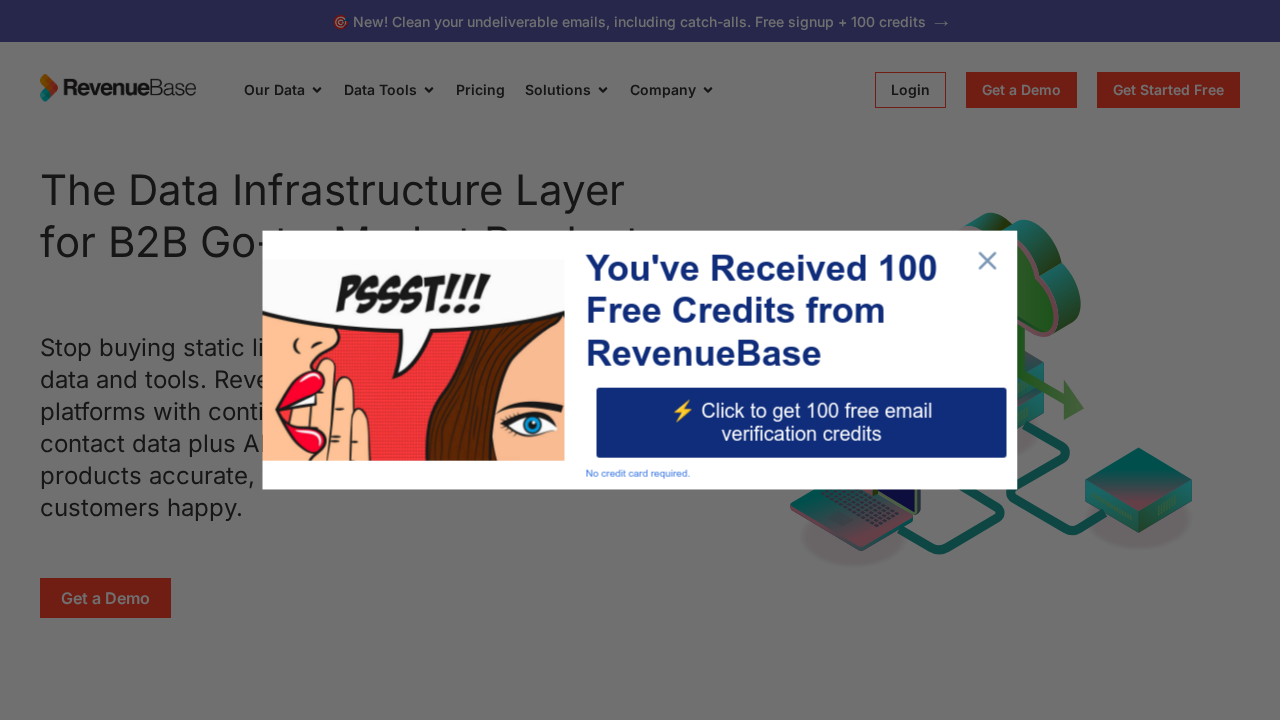RevenueBase screenshot