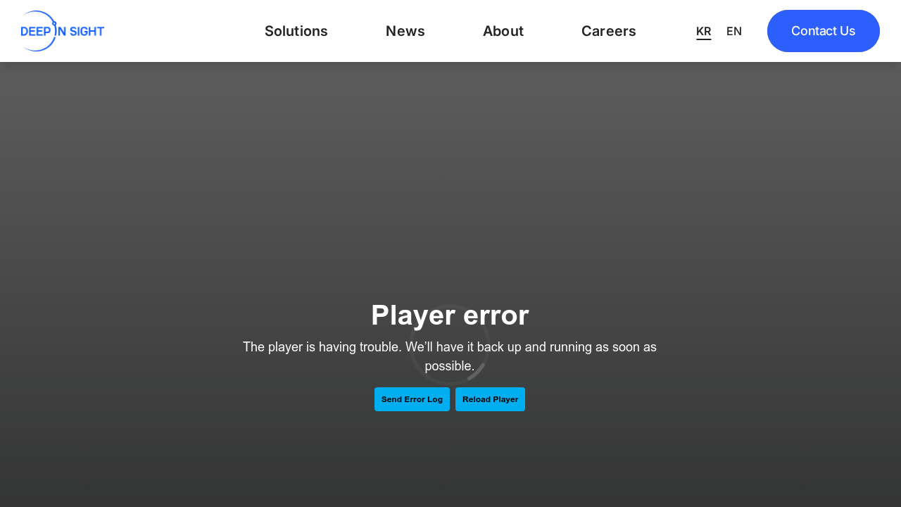 dinsight.ai screenshot