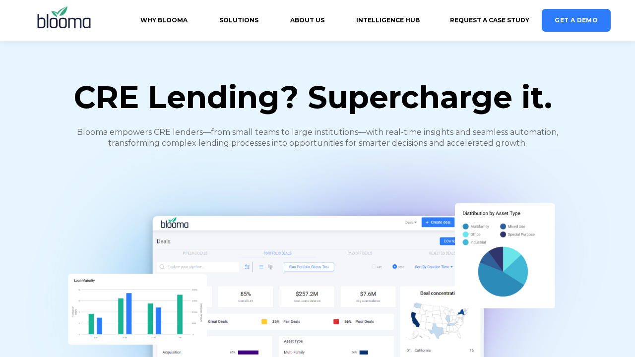Blooma.ai screenshot
