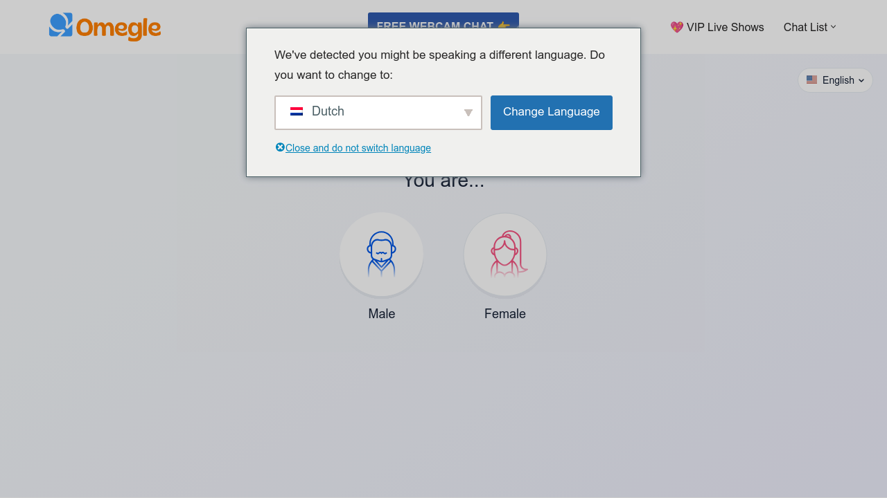 Omegle.ai screenshot