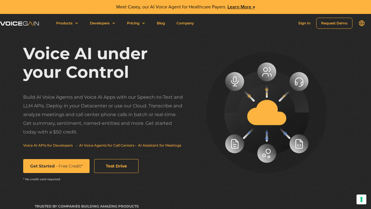 Voicegain.ai screenshot
