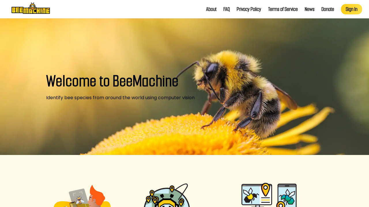 BeeMachine.ai screenshot