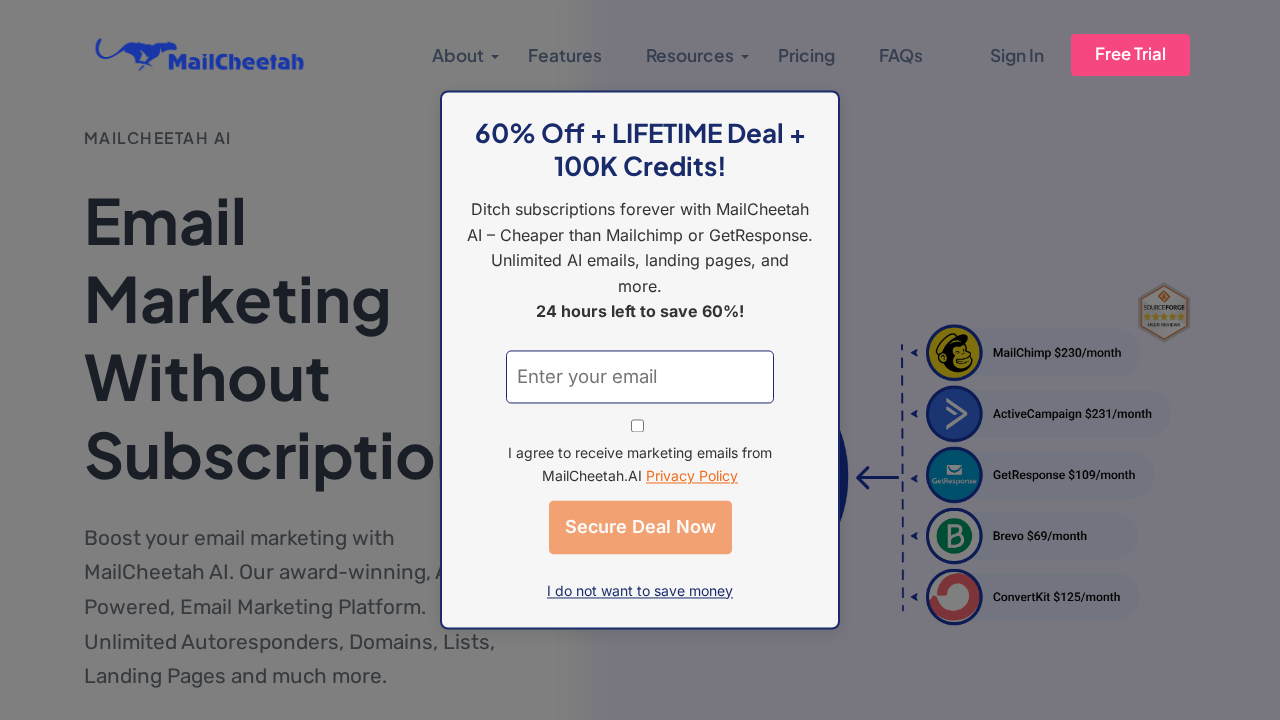 MailCheetah AI screenshot