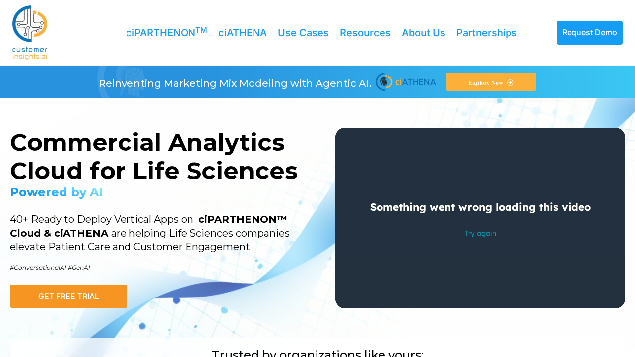 customerinsights.ai screenshot