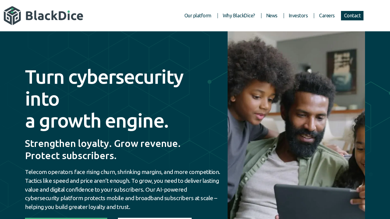 BlackDice.ai screenshot