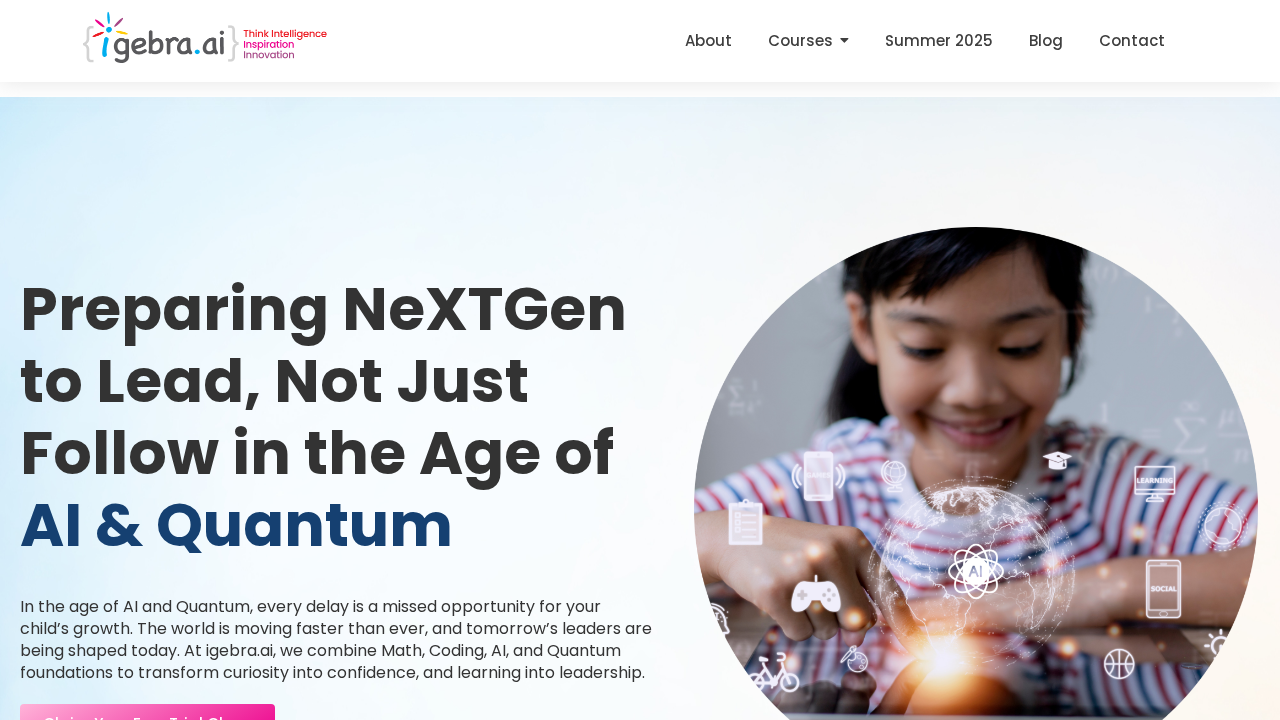 igebra.ai screenshot