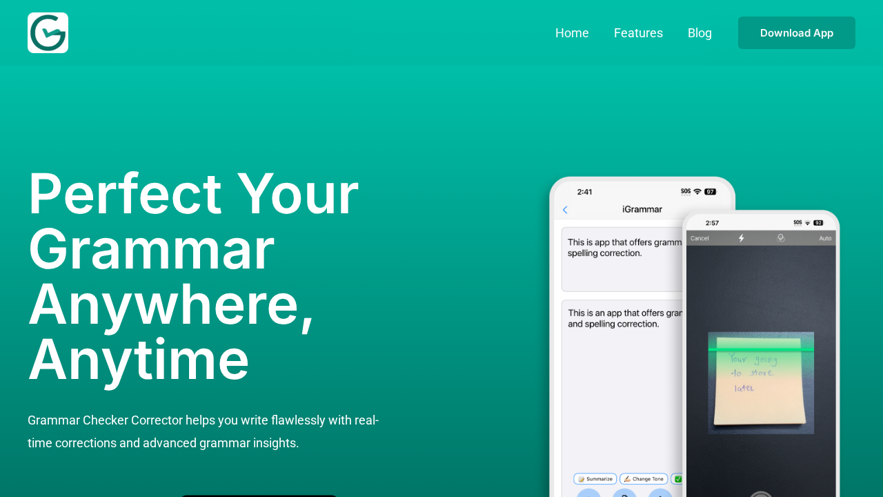 iGrammar screenshot